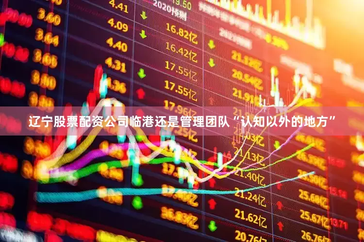 辽宁股票配资公司临港还是管理团队“认知以外的地方”