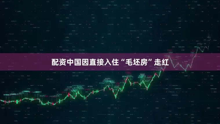 配资中国因直接入住“毛坯房”走红