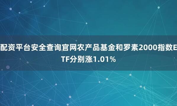 配资平台安全查询官网农产品基金和罗素2000指数ETF分别涨1.01%