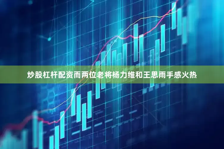 炒股杠杆配资而两位老将杨力维和王思雨手感火热