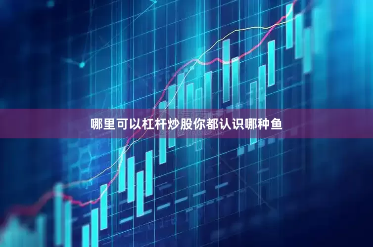 哪里可以杠杆炒股你都认识哪种鱼