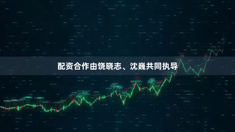 配资合作由饶晓志、沈巍共同执导